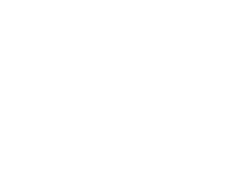 icon-2